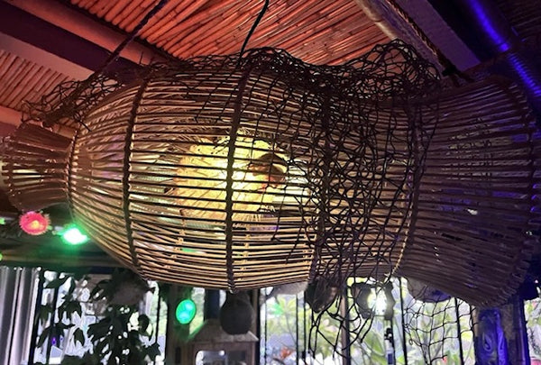 Rattan Fish Trap Lamp w/ real Pufferfish Color Changing LED bulb Oceanic