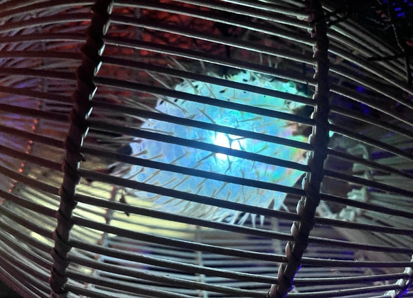 Rattan Fish Trap Lamp w/ real Pufferfish Color Changing LED bulb Oceanic