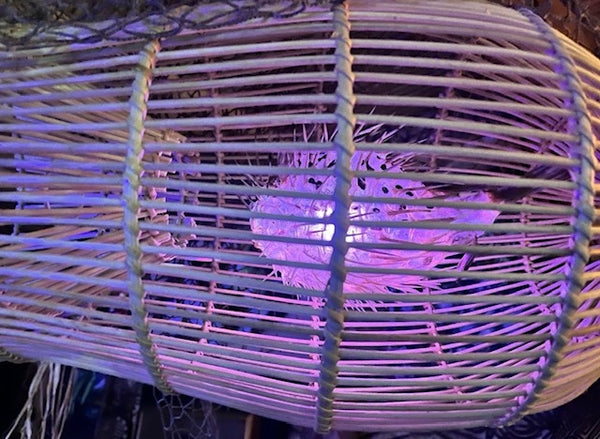 Rattan Fish Trap Lamp w/ real Pufferfish Color Changing LED bulb Oceanic
