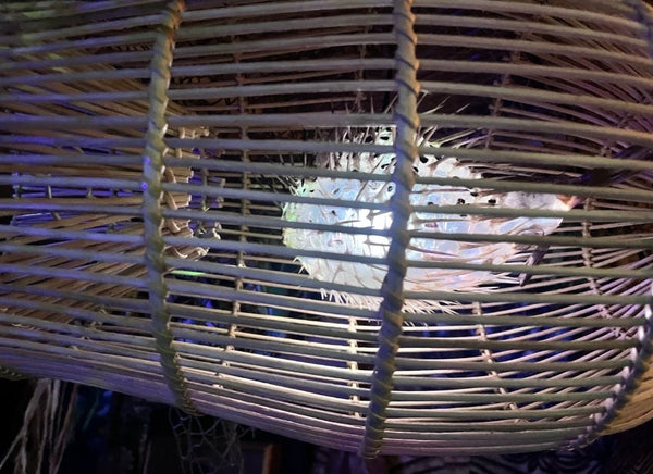 Rattan Fish Trap Lamp w/ real Pufferfish Color Changing LED bulb Oceanic