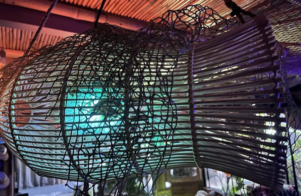 Rattan Fish Trap Lamp w/ real Pufferfish Color Changing LED bulb Oceanic