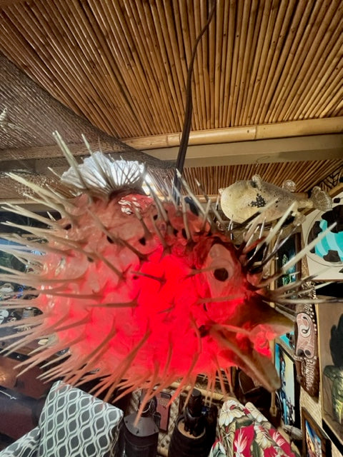 NEW 17"-18" Puffer Fish Lamp w/ green LED Light Tiki bar Smokin Tikis