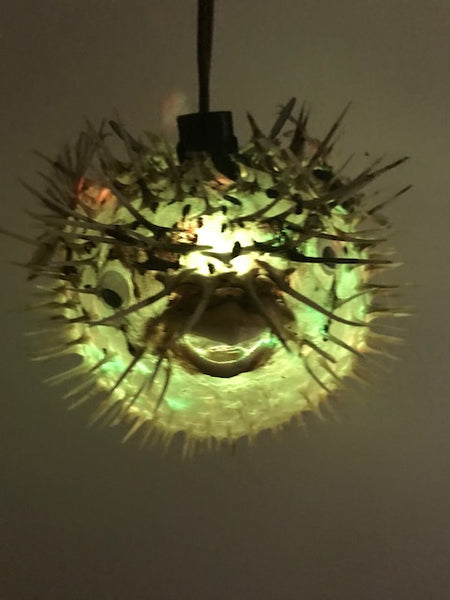 NEW 17"-18" Puffer Fish Lamp w/ green LED Light Tiki bar Smokin Tikis