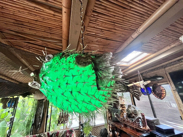 NEW 17"-18" Puffer Fish Lamp w/ green LED Light Tiki bar Smokin Tikis