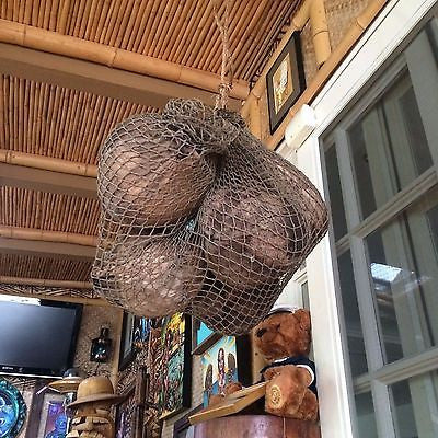 New Fishnet Sack of Coconuts Smokin Tikis Hawaii tiki bar mug decor  M27a