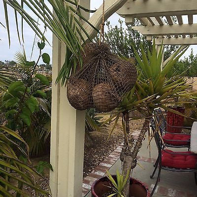 New Fishnet Sack of Coconuts Smokin Tikis Hawaii tiki bar mug decor  M27a