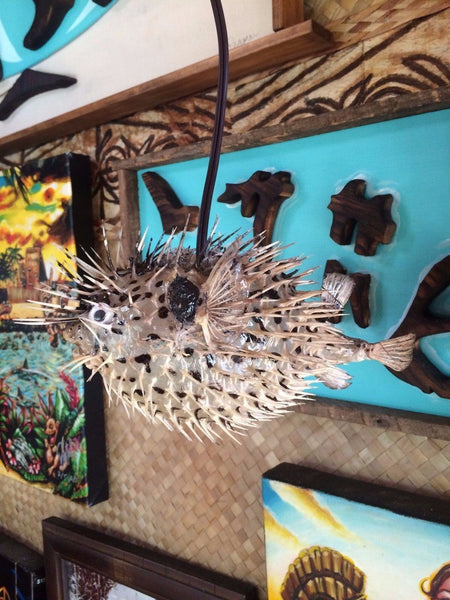 NEW 10" Puffer Fish Lamp w/color changing LED Light Tiki bar Smokin Tikis n26