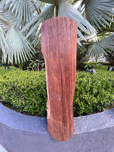 Tiki Bob style Coconut Palm Tiki