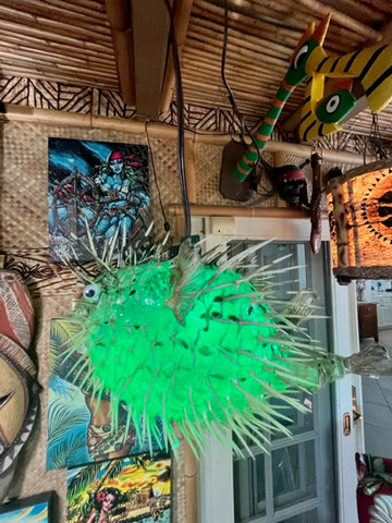 8"-9" Pufferfish with Green 7w LED bulb