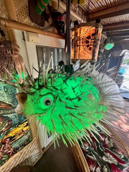 8"-9" Pufferfish with Green 7w LED bulb